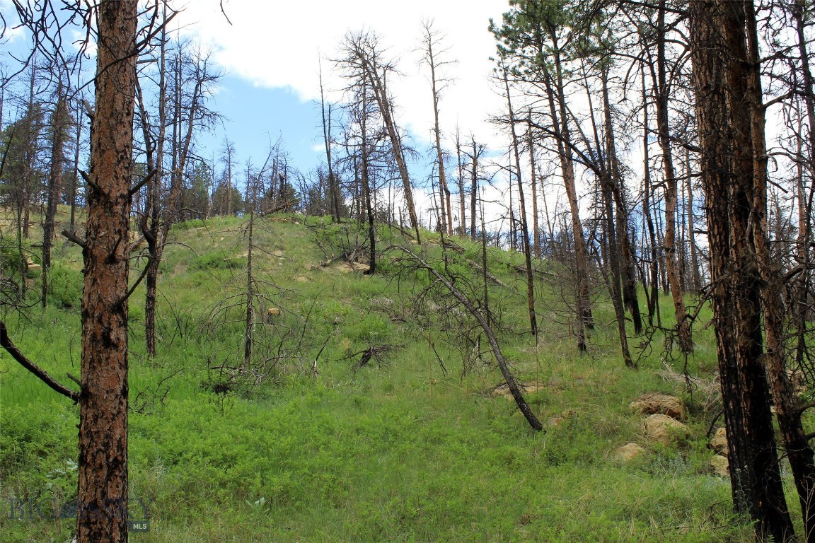 Other - Land