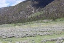 Photo of Lots A54 and A55 Sportsman's Paradise #6, Cameron, MT 59720 (MLS # 414353)