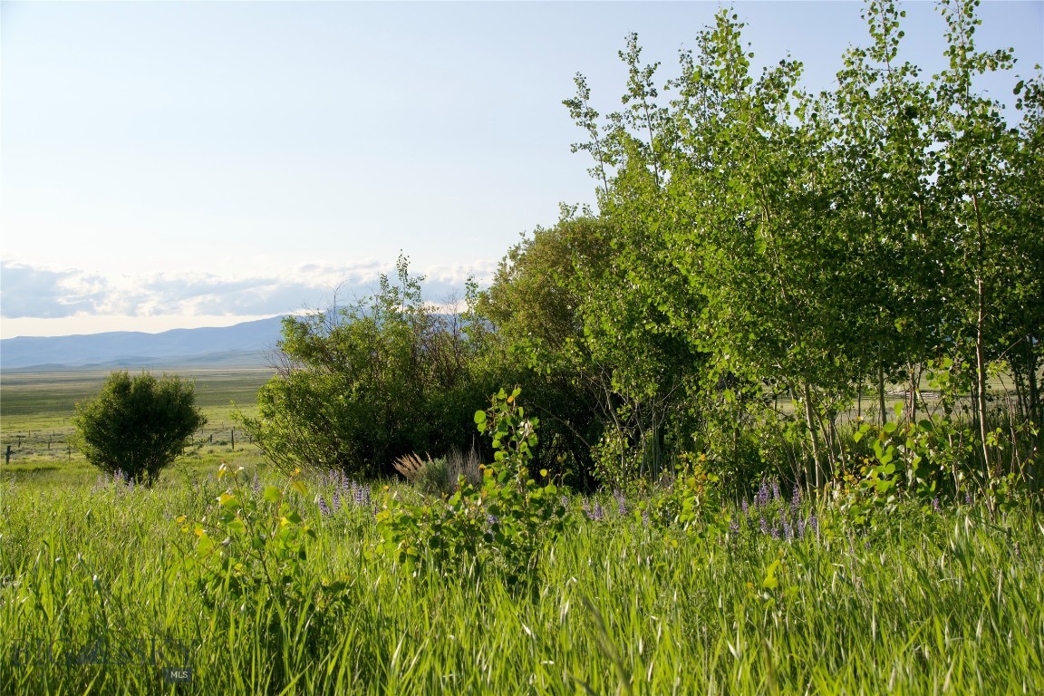 TBD South Valley Road