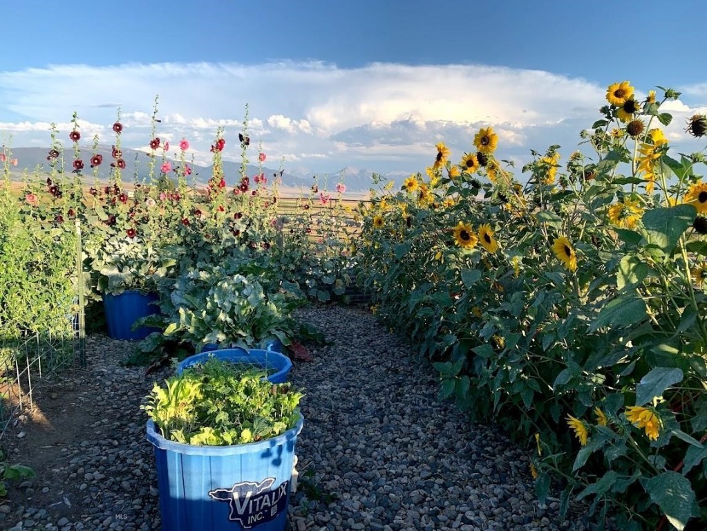 Shining Mountain West - Residential