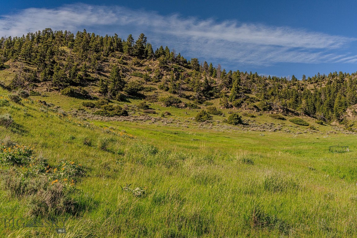 OC Ranch is a rare offering located at the heart of one of America’s most visually stunning regions. Framed by iconic mountain ranges—the Absarokas, Bridgers, Highlights, and the Crazy mountains— this exclusive collection of 160± acre ranch properties offer a rare blend of privacy, breathtaking setting, and potential to create a legacy property. Buyers can purchase the entire 640-acre ranch or choose from four, 160-acre parcels. With rolling meadows, benches, and panoramic views in every direction, OC Ranch holds a commanding position between heritage ranchland and the towering wildlands of southwest Montana. Though deeply private, the ranch is remarkably accessible, just 25± minutes from Bozeman, 15± minutes from Livingston and the Yellowstone River, and nearby hundreds of thousands of acres of public land. On the property itself, owners enjoy not only their own expansive tracts but also 10± miles of private shared hiking, mountain biking, or horse trails that wind through ridgelines, valleys, and open country, offering constant connection to the land’s grandeur and the surrounding peaks. Spring and summer bring the land to life with native grasses, sagebrush, wildflowers, and dense foliage along the north-facing slopes and creek corridors. Wildlife, including elk, moose, black bear, whitetail and mule deer, and other species of wildlife found in the Yellowstone ecosystem, find sanctuary throughout the varied topography. Underground power, year-round access via newly built roads and bridges, and a thoughtful development plan ensure that modern convenience doesn’t come at the cost of natural beauty. Each parcel includes access to meadows, ridges, O’Rea Creek frontage, and benefits from some of the neighboring properties under conservation easements that ensure protected viewsheds and thriving wildlife habitat. With four distinct tracts available, each offering a unique blend of terrain, orientation, and build opportunity— OC Ranch is a legacy holding that provides the rare combination of privacy, proximity to amenities, and limitless mountain views. OC Ranch Tract 5: Huge, south-facing meadows and valleys offering fantastic views of the Absarokas and the Spanish Peaks to the west. OC Ranch Tract 5 description: Huge, south-facing meadows and valleys offering fantastic views of the Absarokas and the Spanish Peaks to the west.