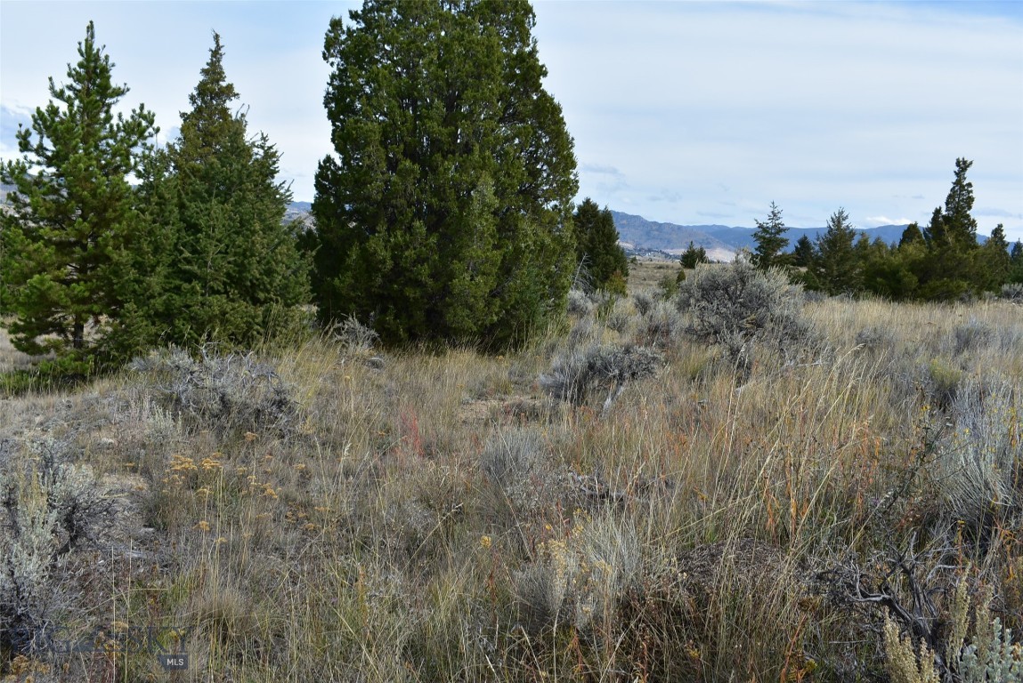 tbd Indian Paint Brush Road