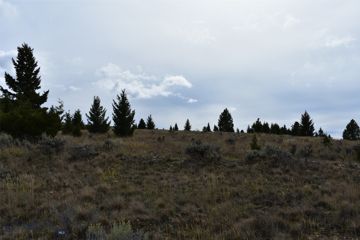 tbd Indian Paint Brush Road