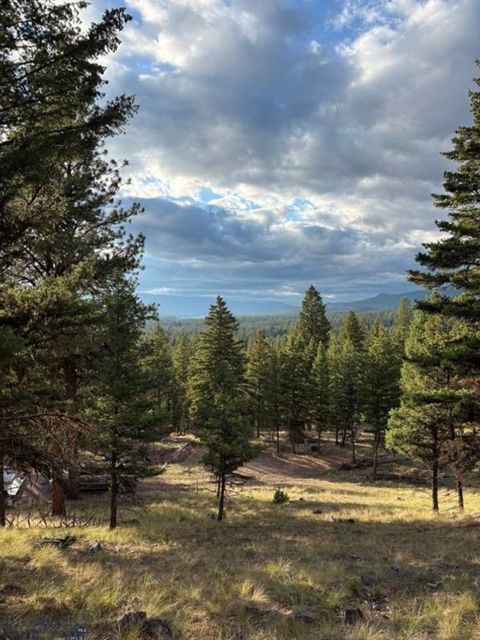 451 Crimson Peak Ct Seeley Lake MT 59868