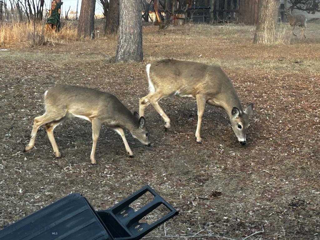 Longacres - Residential