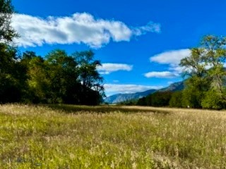 Other - Land