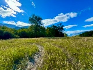 Other - Land