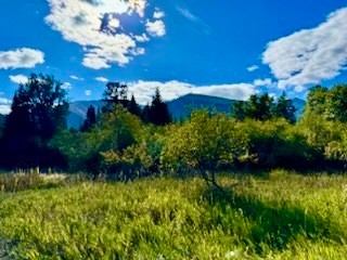 Other - Land