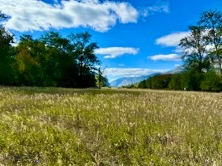 Other - Land