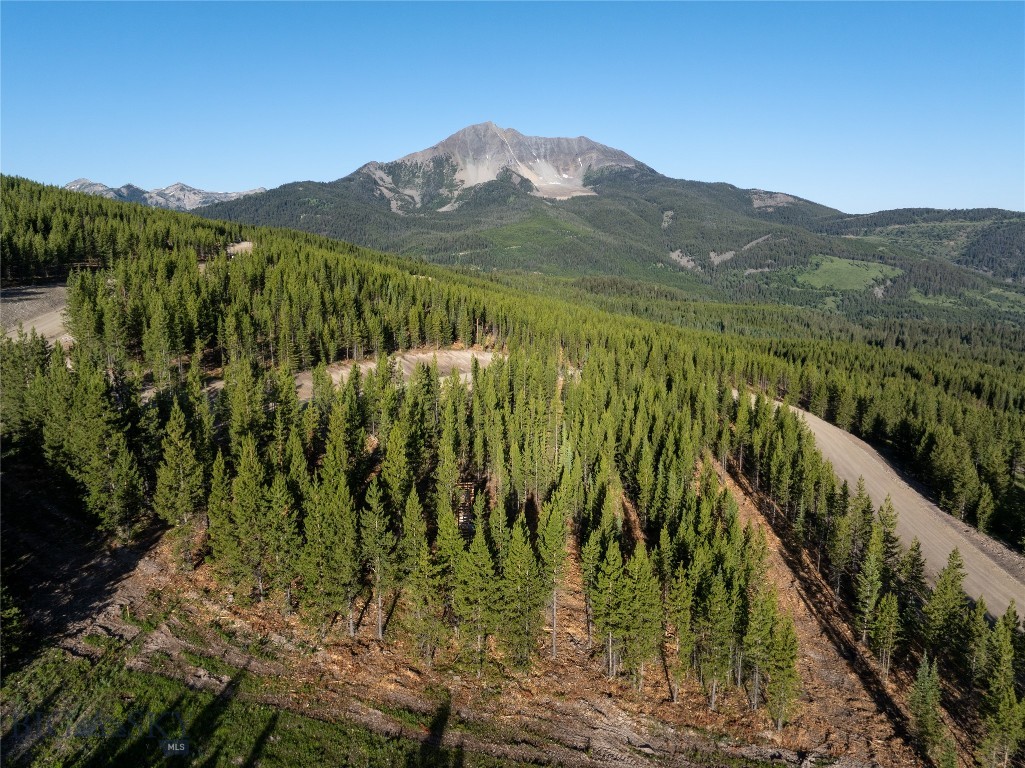 TBD Sawtooth Road Lot 10