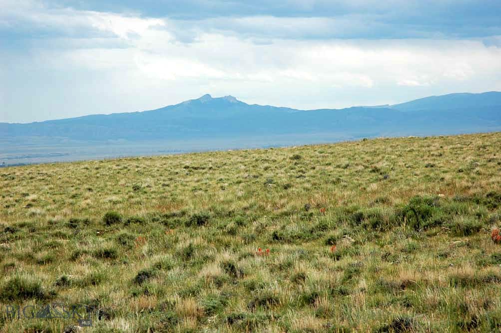 Other - Land