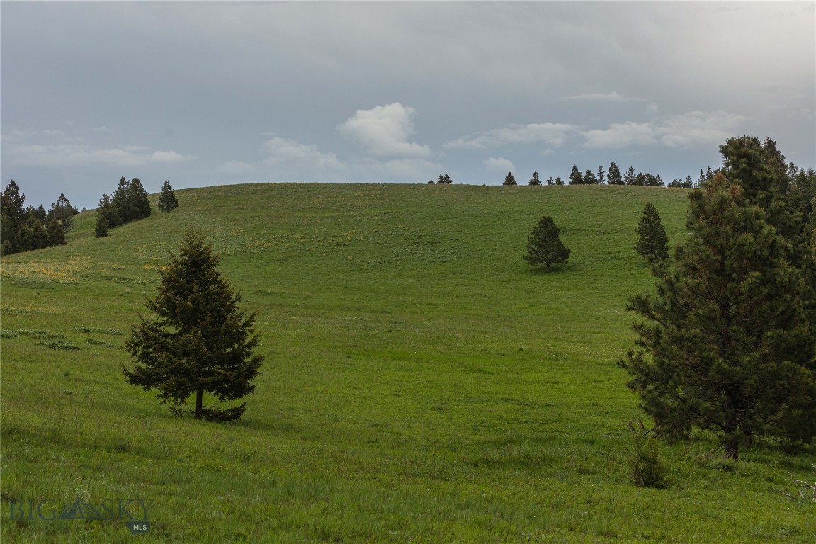 6 Tract, Bull Elk
