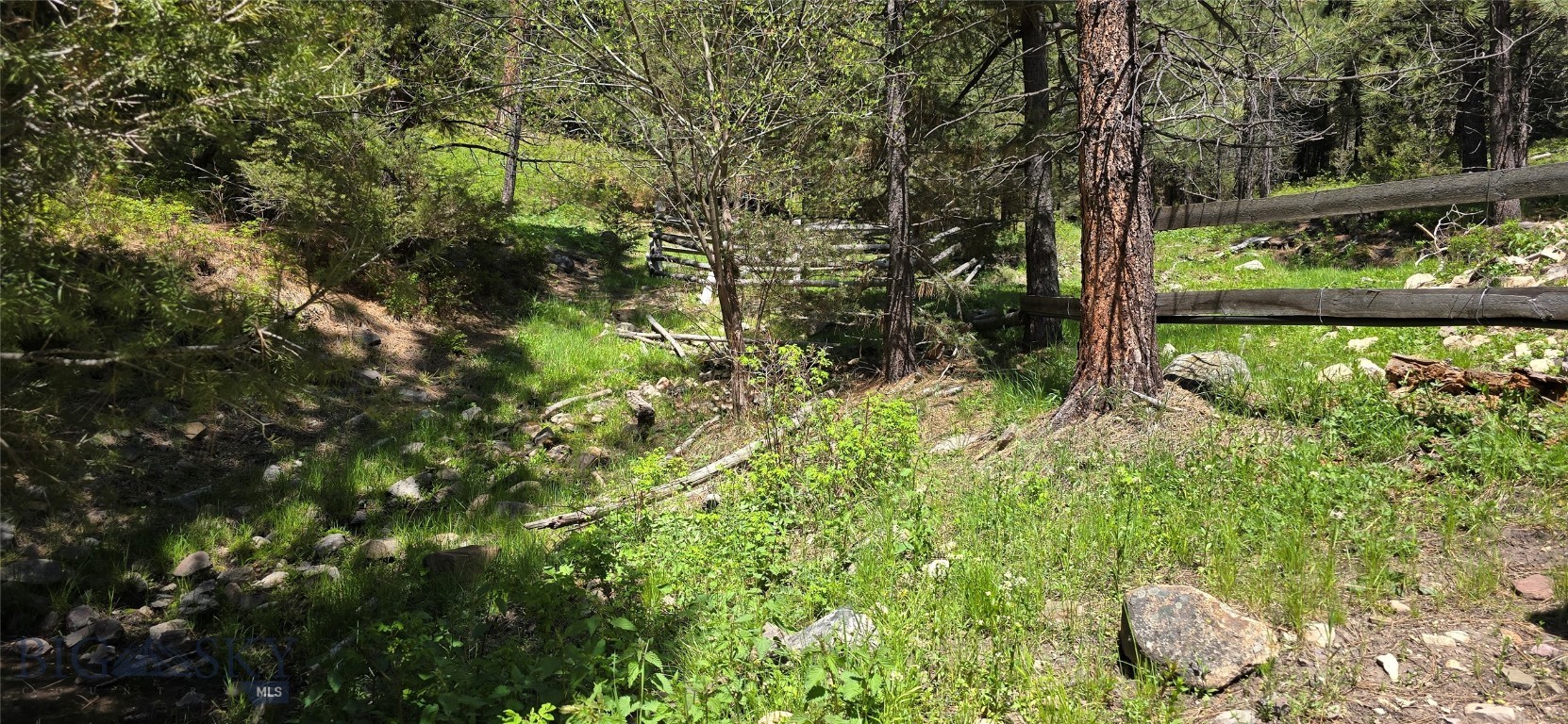 6 Tract, Bull Elk