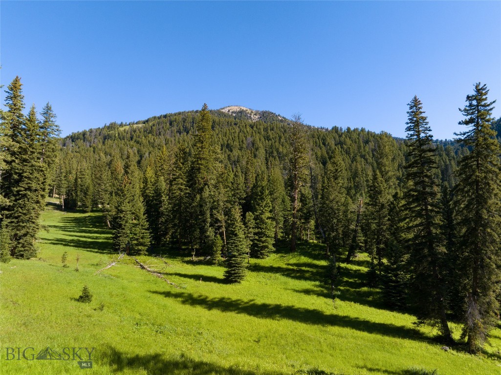 TBD Upper Chief Joseph Trail