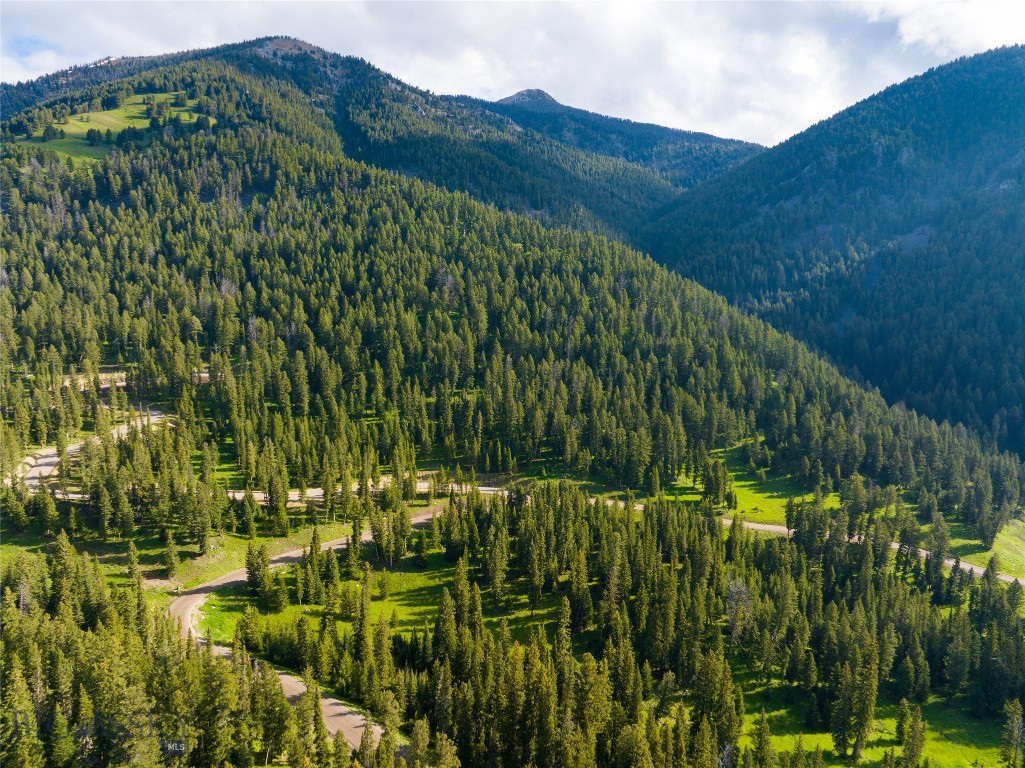Privacy, proximity, wildlife, old growth trees and views...this parcel has it all! A bit over a mile and a half to the dining, shopping, concerts, Farmers' Markets and more in Big Sky's bustling Town Center and Meadow Village, this lot has a gorgeous sunny building site with views to the South and Southeast. The only sounds you will hear are birds and breezes. A beautiful meadow below the building site is a haven for deer, elk and moose that come to drink at a seasonal spring. The parcel is approximately ten minutes to the lifts at Big Sky Resort and ten minutes to the famed Gallatin River, a Blue Ribbon trout stream. The west entrance to Yellowstone National Park is less than an hour to the south and Bozeman is about an hour to the north. Build your family's legacy complex with home and guest home permitted, plus horse facilities or other outbuildings.