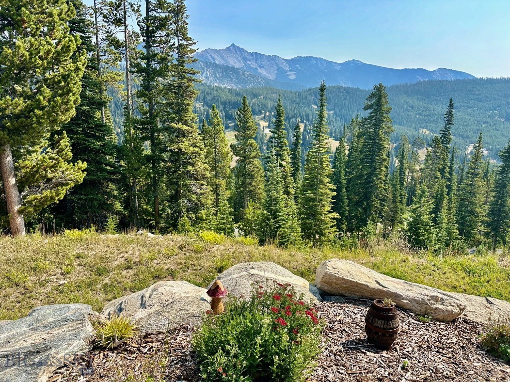 Beehive Basin - Residential