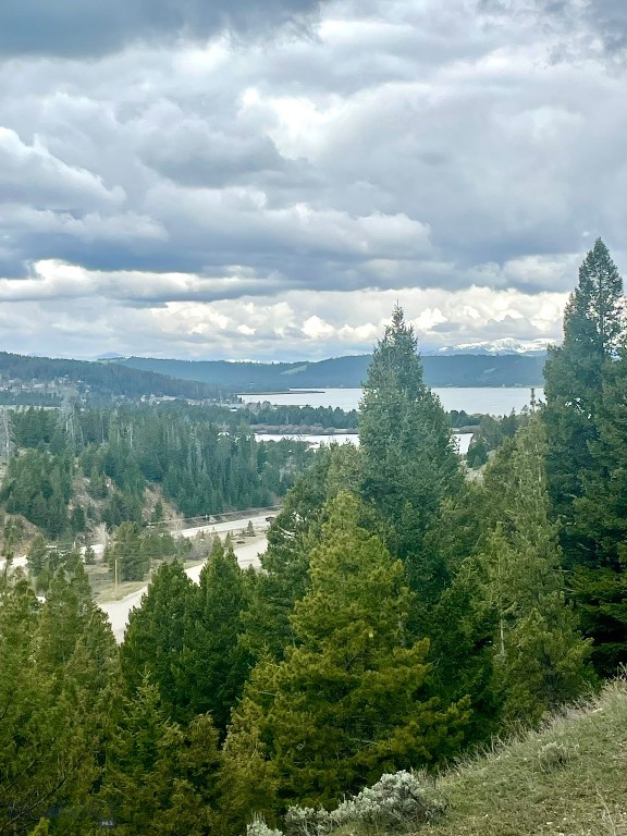 Prime opportunity to own a 2-acre buildable lot just above the shores of Georgetown Lake in Montana. This lake view property offers year-round access, stunning mountain and lake vistas, and unmatched privacy—ideal for building your dream home, vacation getaway, or short-term rental cabin. Outdoor lovers will appreciate direct access to hiking, mountain biking, big game hunting, and world-class fishing on Georgetown Lake, which is also a hotspot for ice fishing in the winter. Discovery Ski Area is just 15 minutes away for downhill skiing and snowboarding. Centrally located, the property is 30 minutes to Anaconda, 20 minutes to Philipsburg, and 45 minutes to Fairmont Hot Springs Resort with golf, dining, and spa amenities. Special use permits allow for tourist homes and nightly rentals, offering strong investment potential in Montana’s highly desirable recreational corridor. Whether you're looking for a mountain escape or income-generating land, this Georgetown Lake property checks all the boxes. **Check out the video to see drone shots of the area.