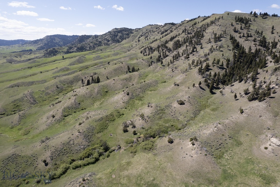 TBD O'Rea Creek Road (Parcel 6)