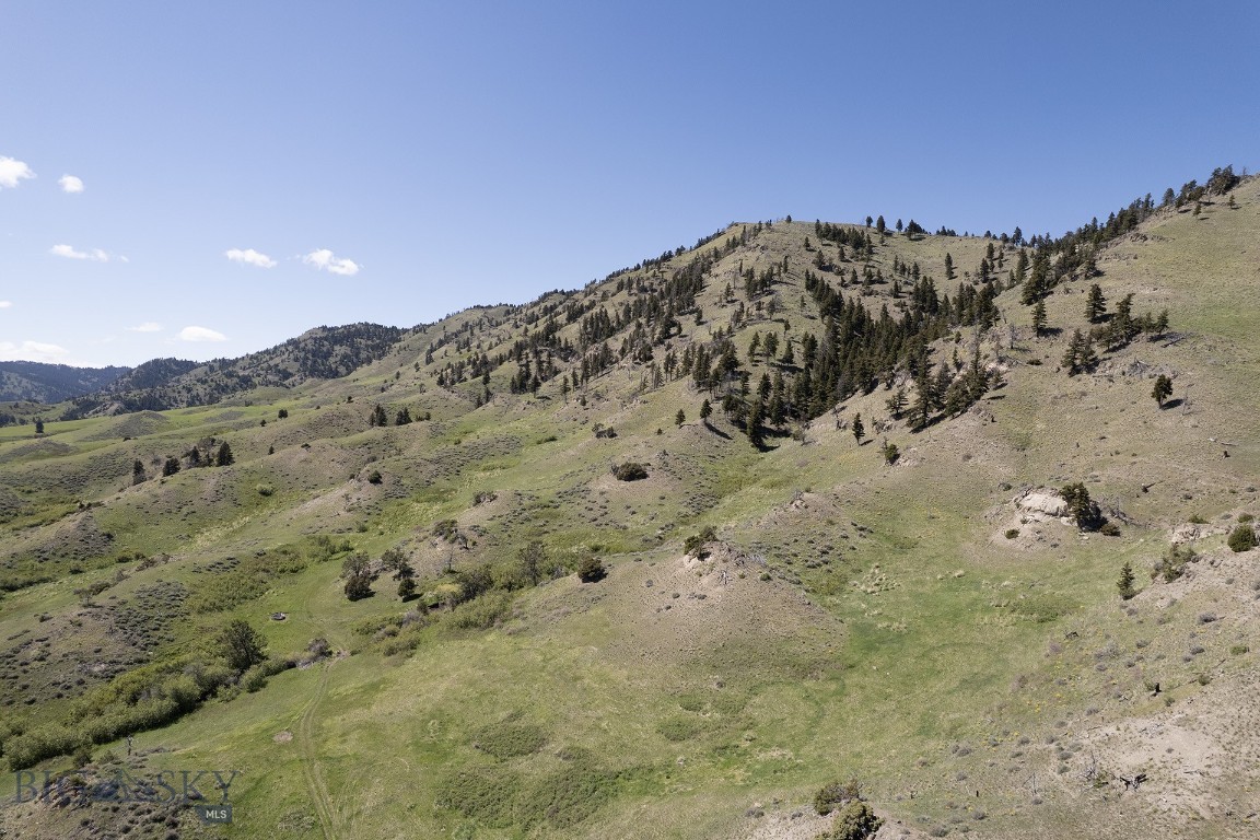 TBD O'Rea Creek Road (Parcel 6)