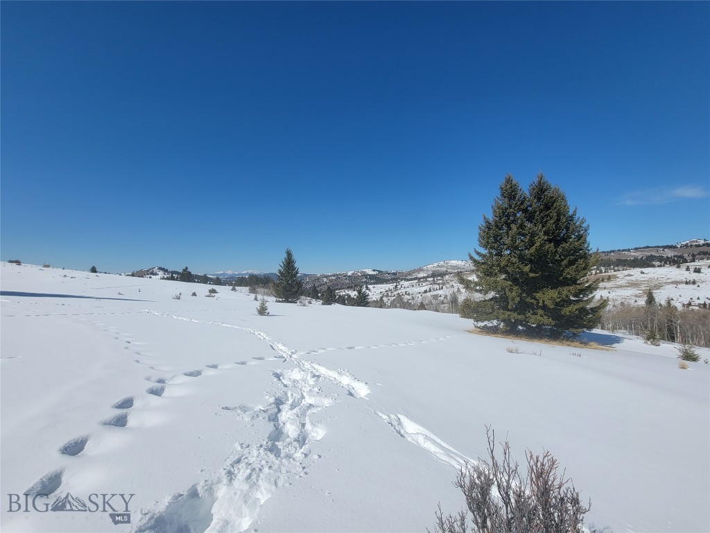 Walkerville, Montana 59701, United States, ,Land,Pending,140665