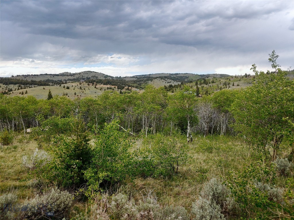Walkerville, Montana 59701, United States, ,Land,Pending,140665