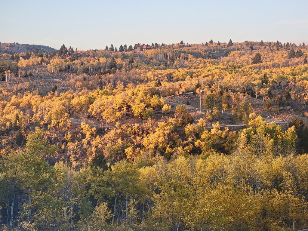 Walkerville, Montana 59701, United States, ,Land,Pending,140665