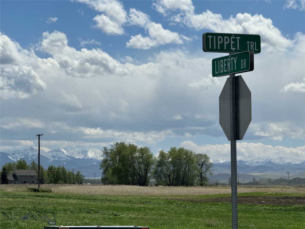 Bridger Shadows West - Land