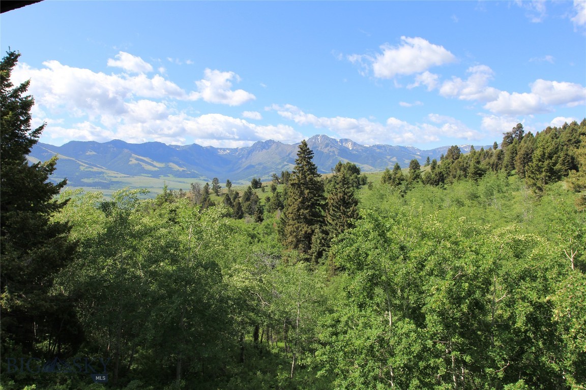 Grizzly Meadows - Residential