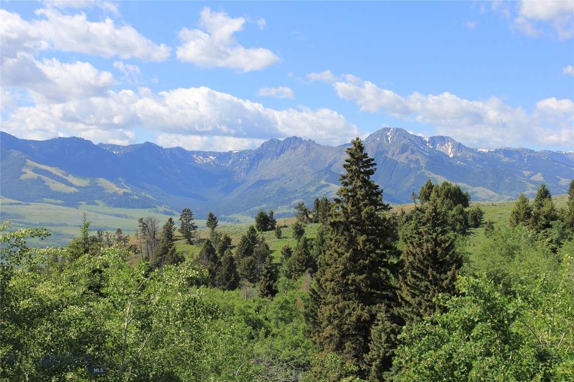 Grizzly Meadows - Residential