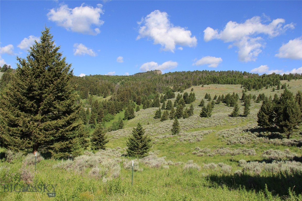 Grizzly Meadows - Residential