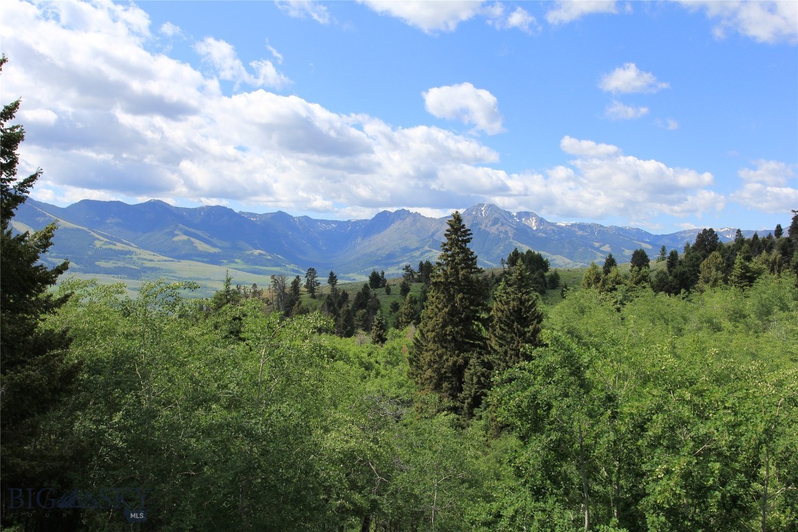Grizzly Meadows - Residential
