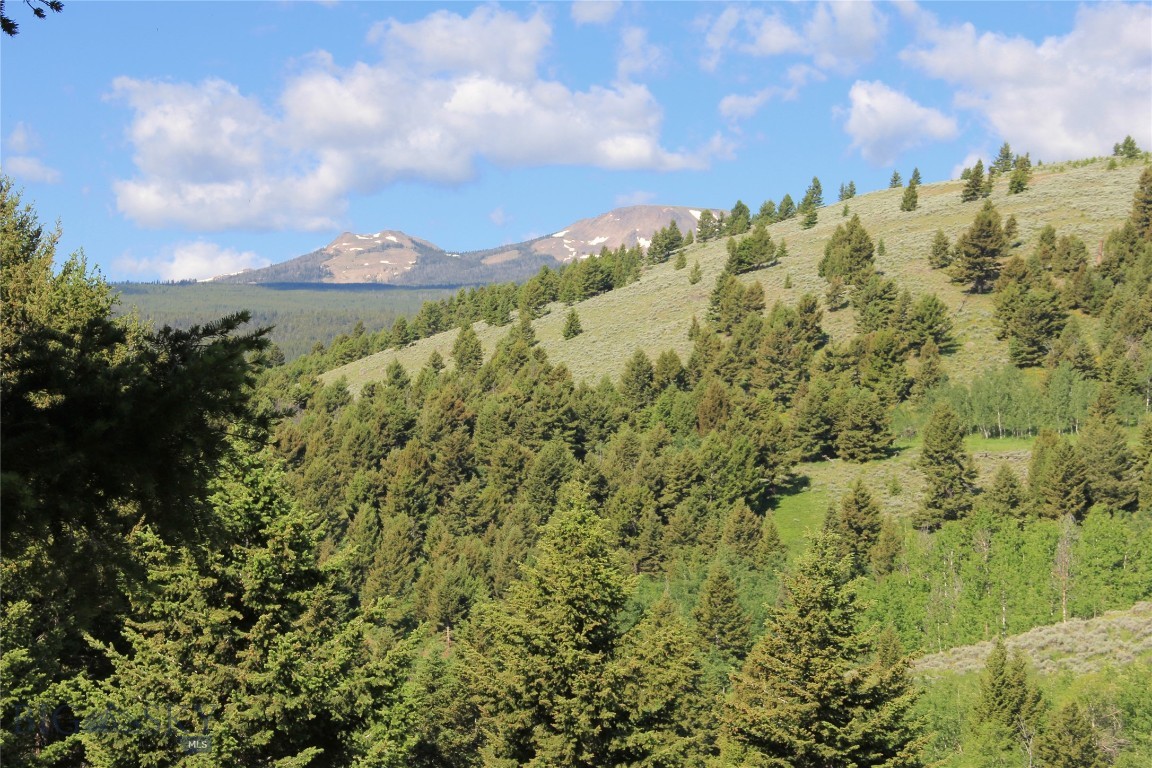 Grizzly Meadows - Residential