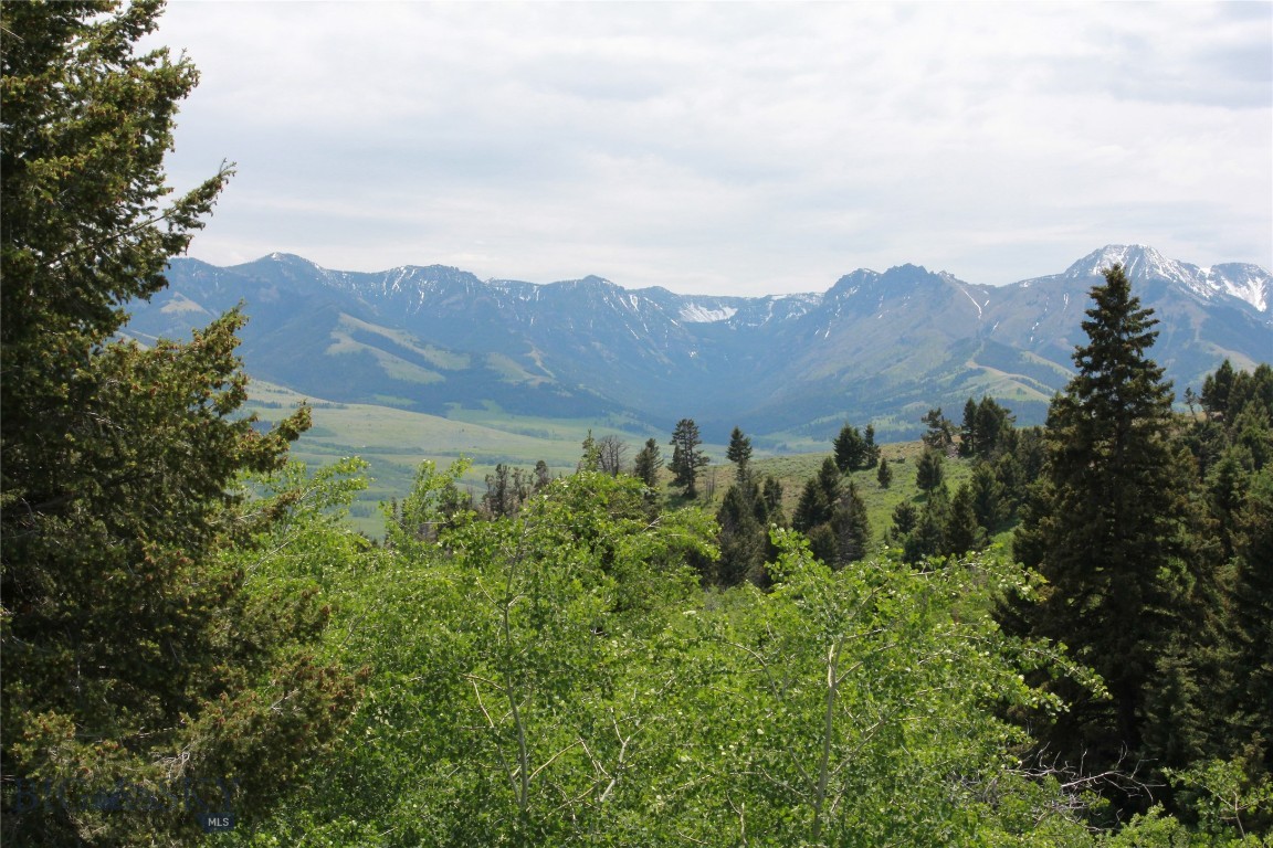 Grizzly Meadows - Residential