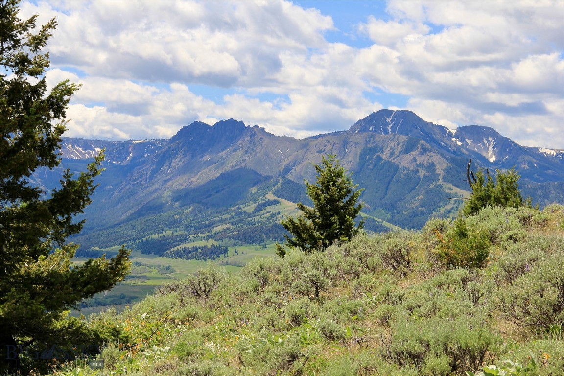 Grizzly Meadows - Residential