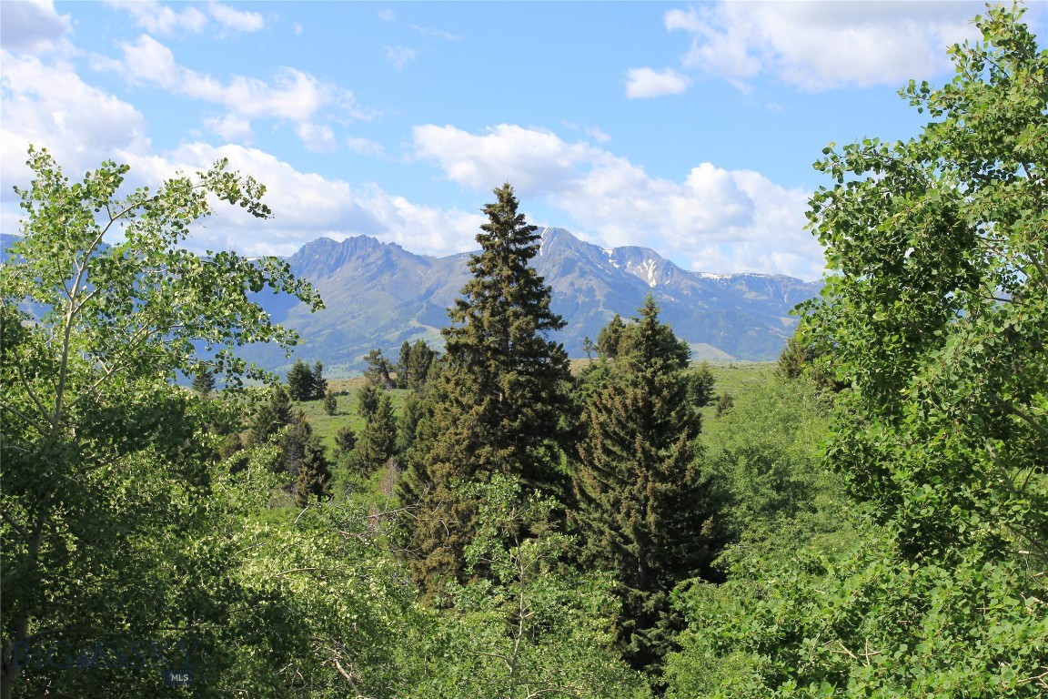 Grizzly Meadows - Residential