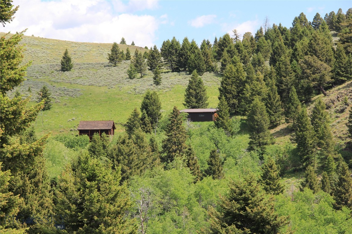 Grizzly Meadows - Residential