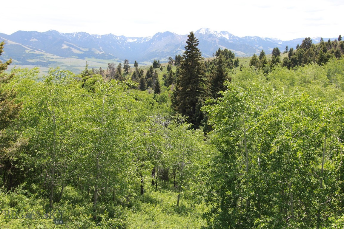 Grizzly Meadows - Residential