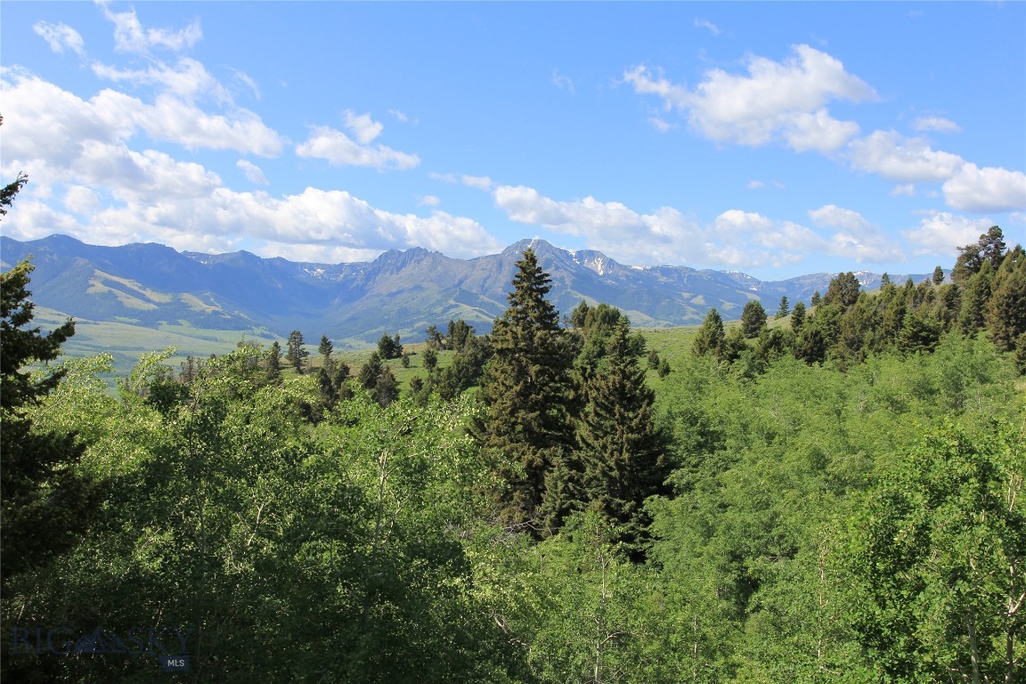 Grizzly Meadows - Residential
