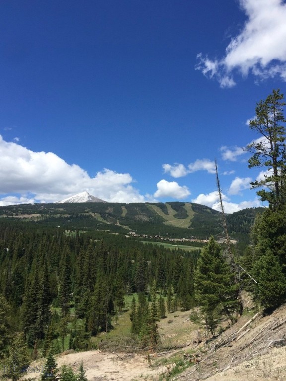 Wildridge Neighborhood - Land