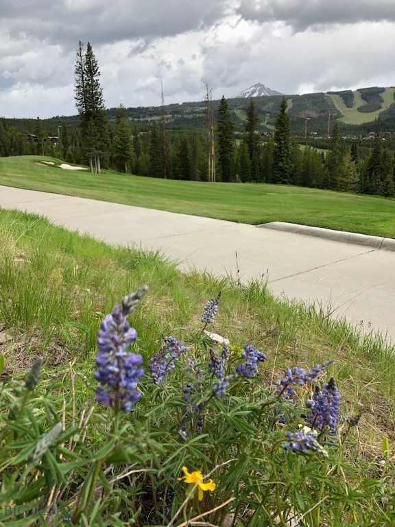 Wildridge Neighborhood - Land