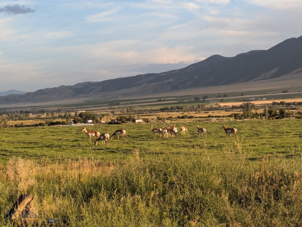 Ramshorn View Estates - Residential