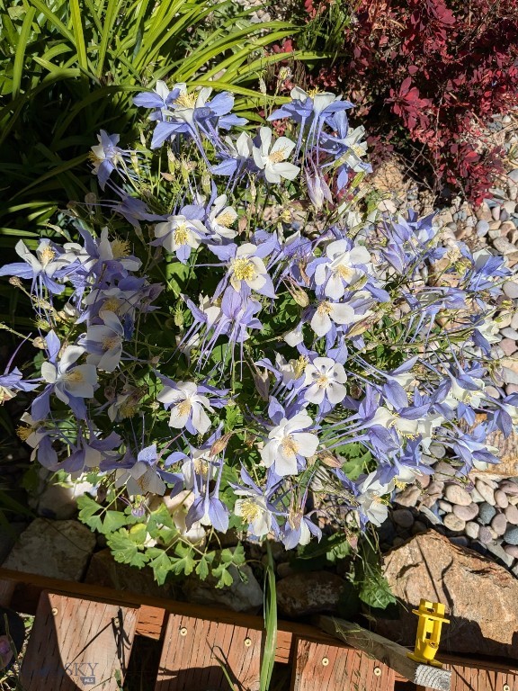 Ramshorn View Estates - Residential