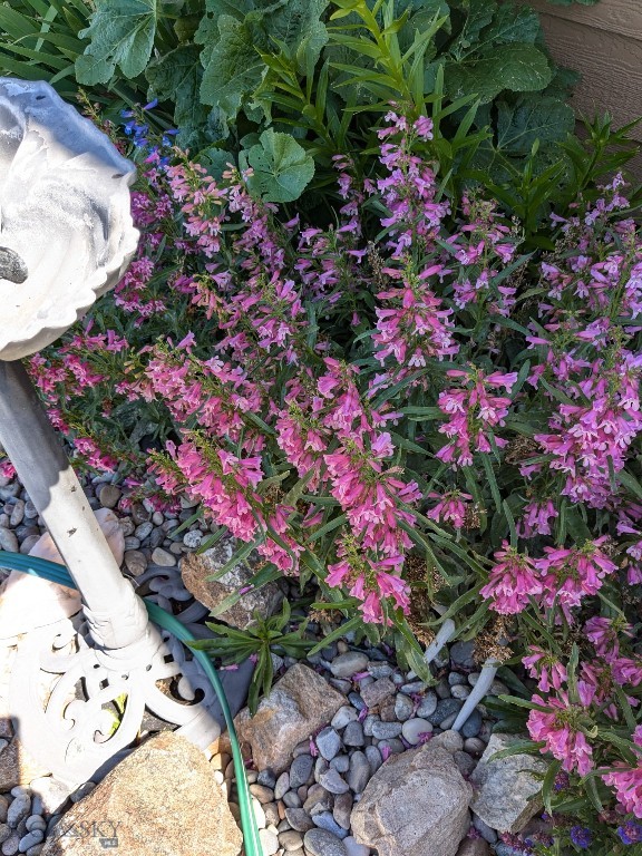 Ramshorn View Estates - Residential