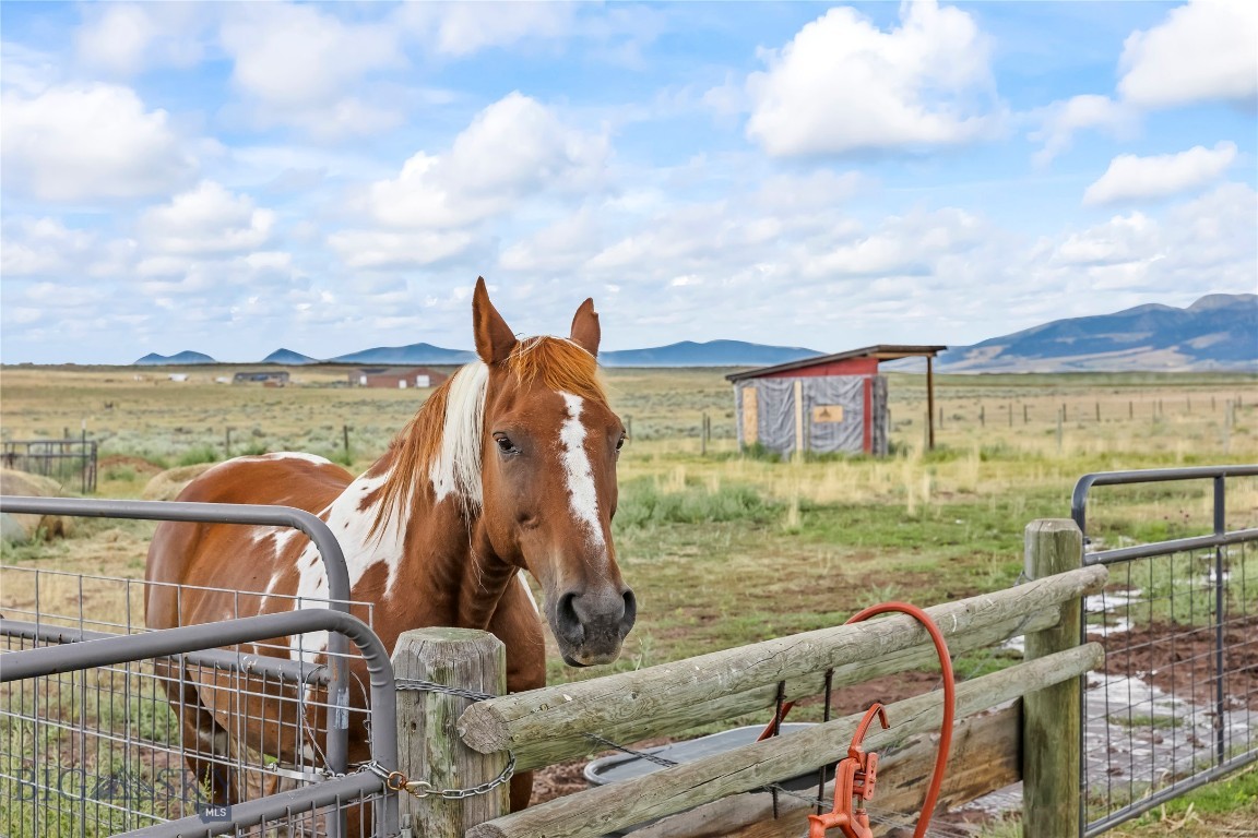 Foothills - Residential