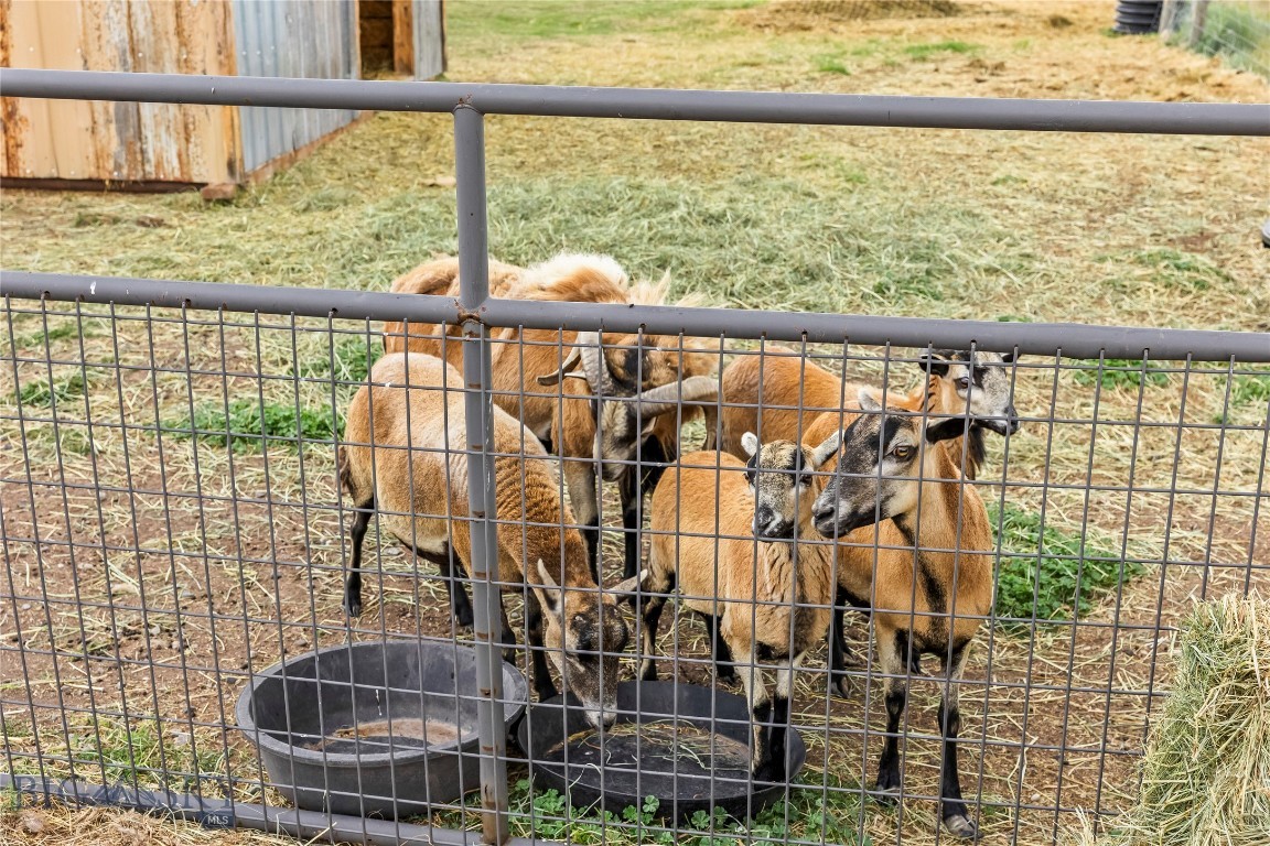 Foothills - Residential