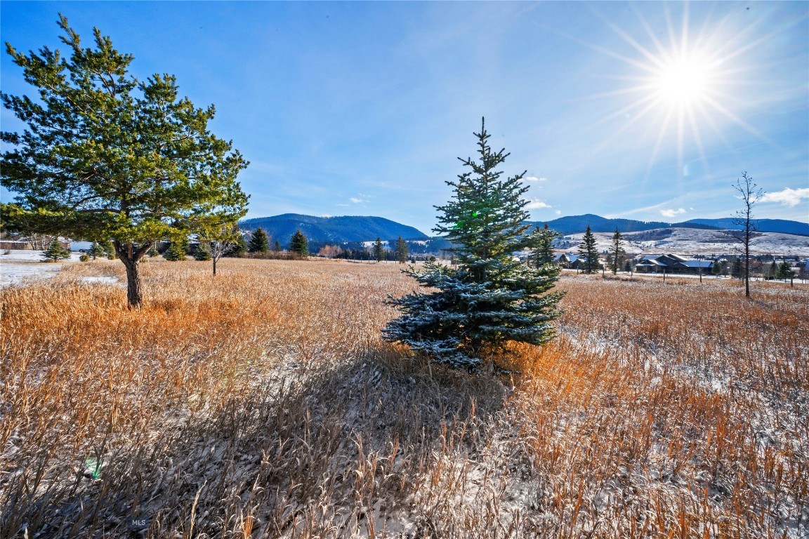 Hyalite Foothills - Land