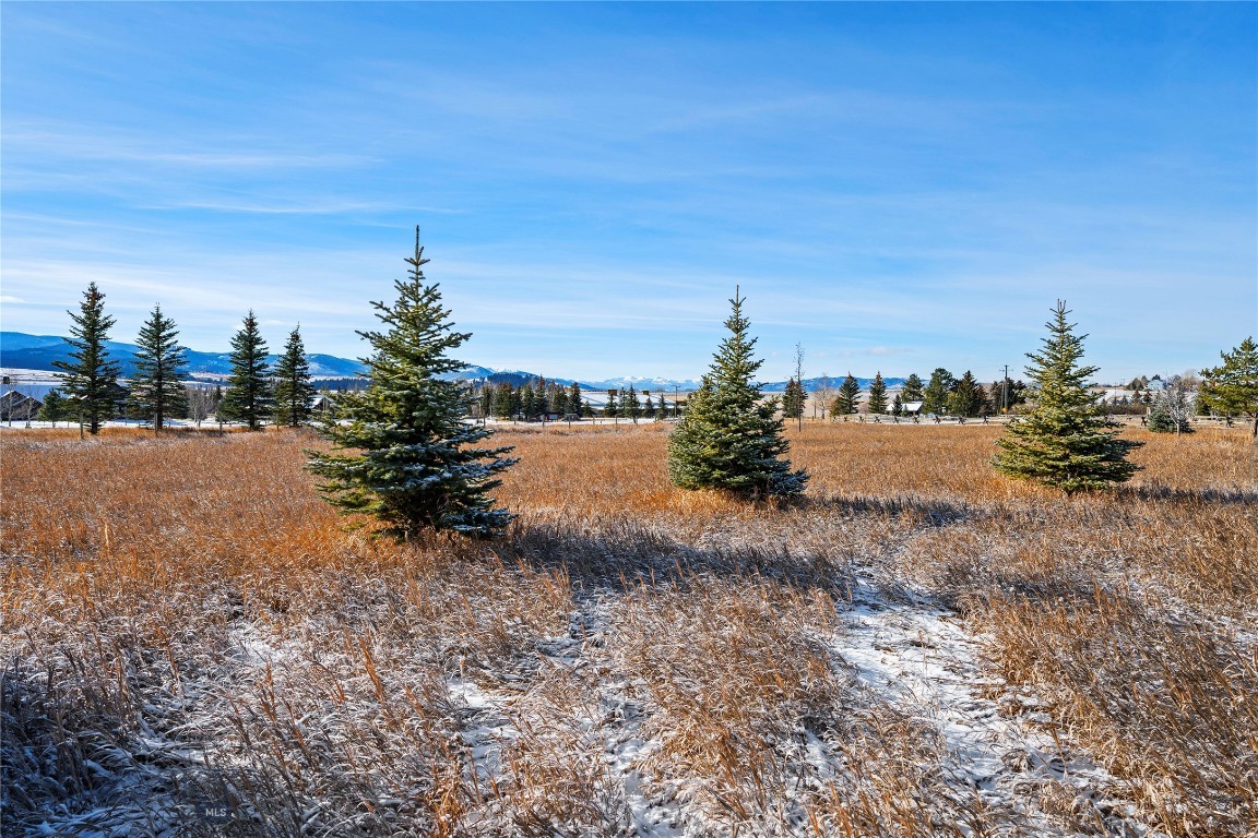 Hyalite Foothills - Land