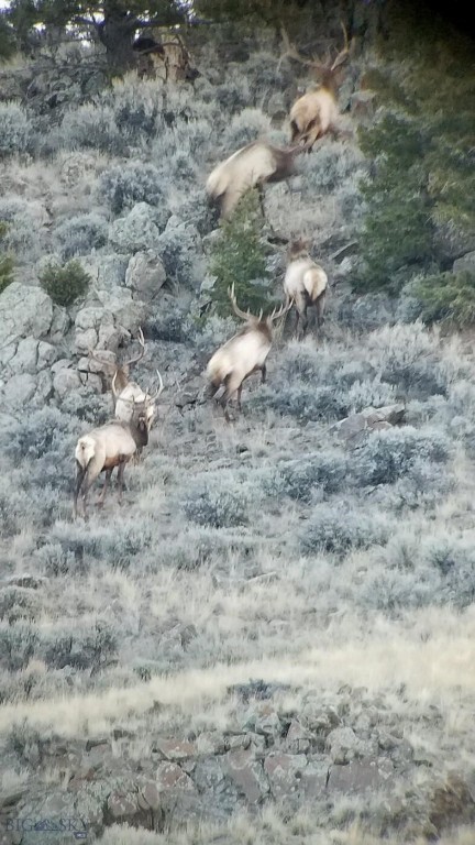 Melrose, Montana 59743, United States, ,Land,Active,64088