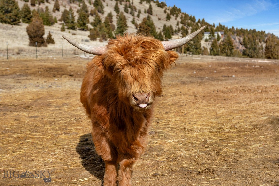 Flint Creek Estates - Residential