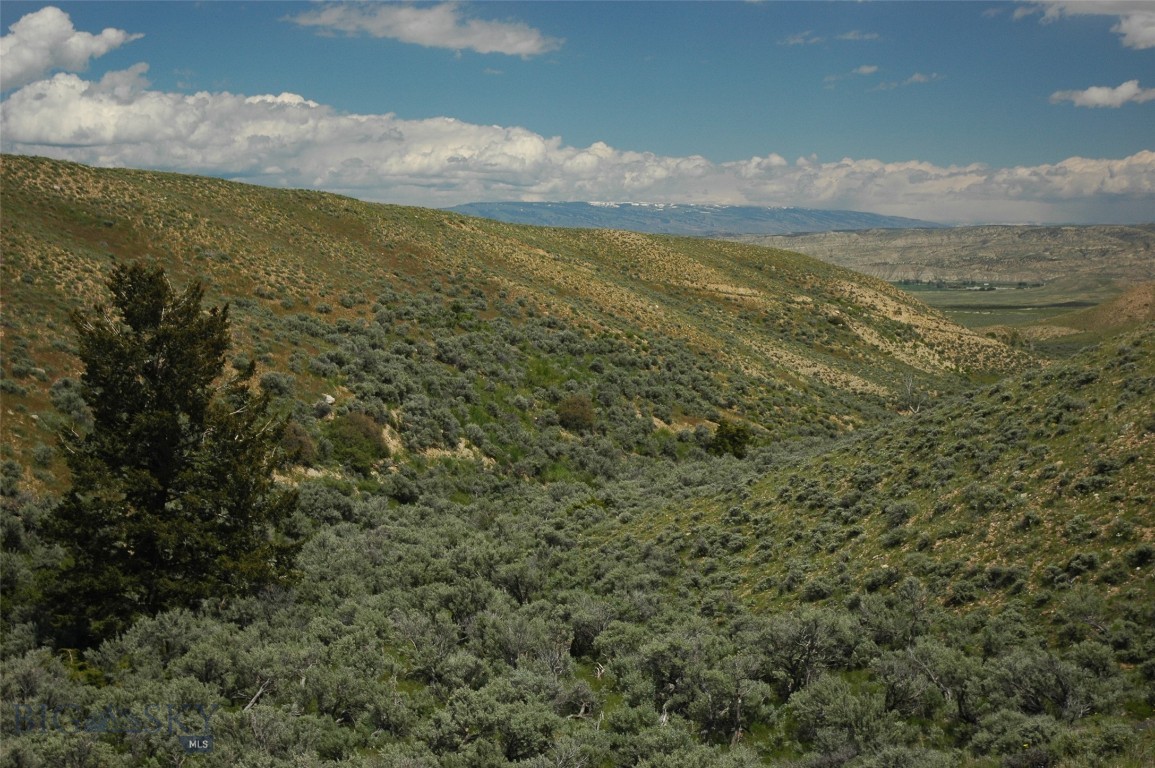 Other - Land